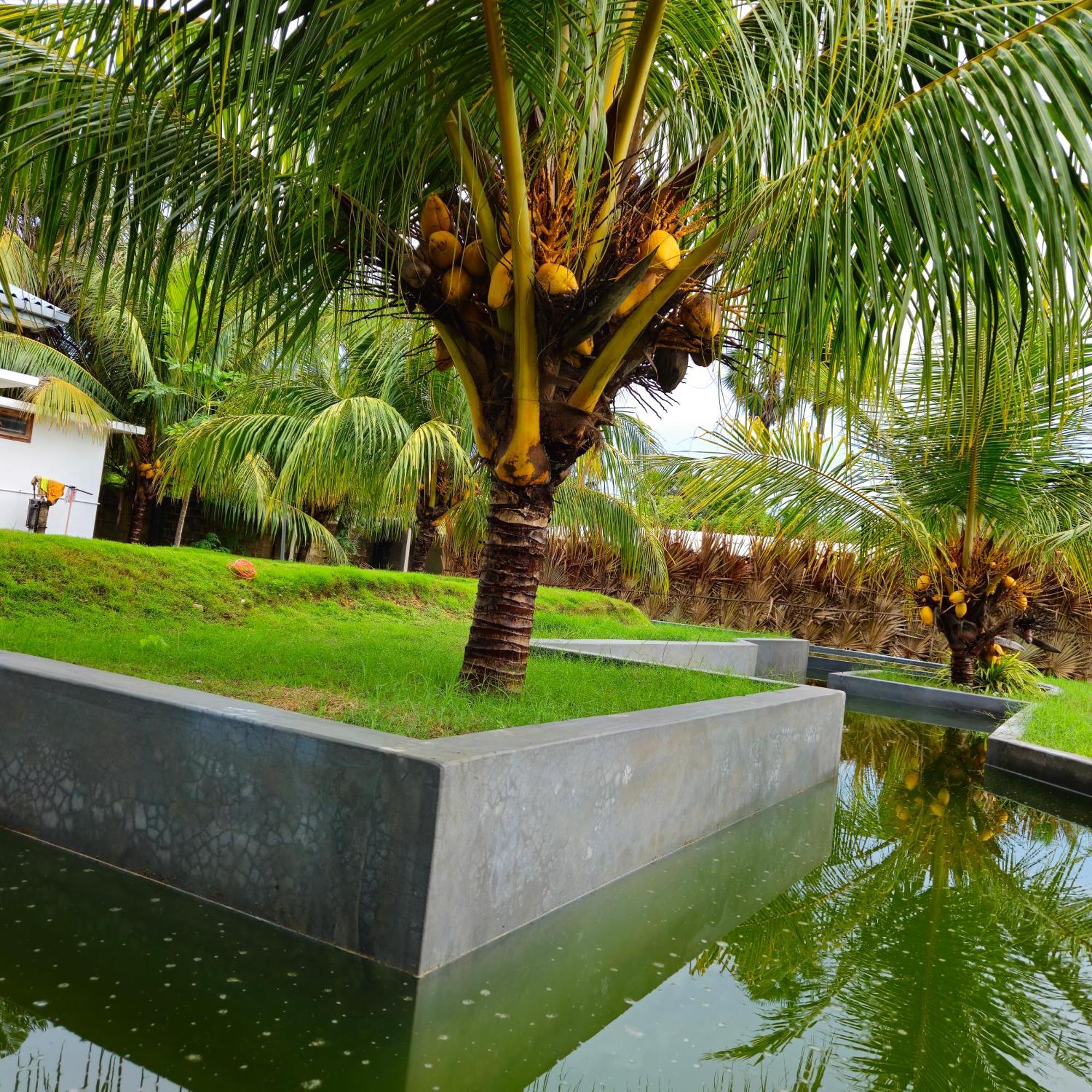 Abbi Holidays - Keerimalai Cultural